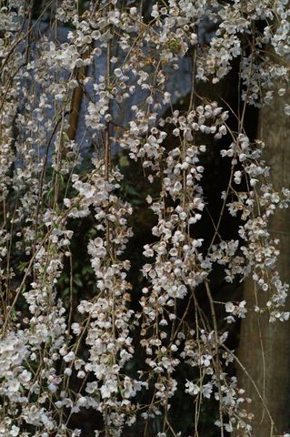 h290416 (157)_R