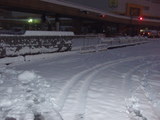 仙台の雪