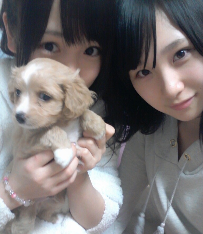 http://livedoor.blogimg.jp/akb4839/imgs/1/2/1281a092-s.jpg