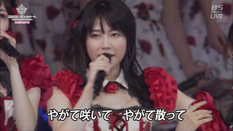 cbjd171031-2105090735