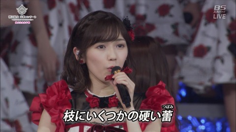 cbjd171031-2103320860