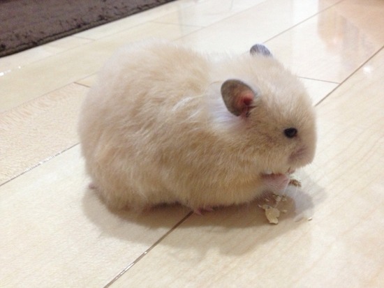 F681E1BE-572E-4154-B6F0-216C3E218924