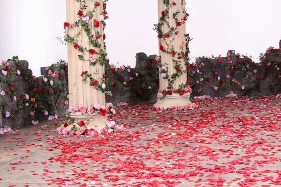 IMG_2038+%25281024x683%2529