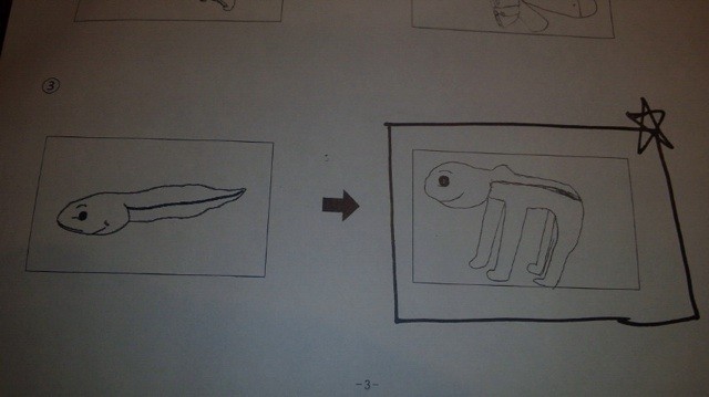 imc_80bac38549d837336e7eed56cf139ac1c15e43b9