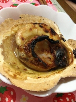 o0320042712534022743