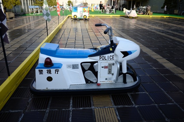 th__DSC0077