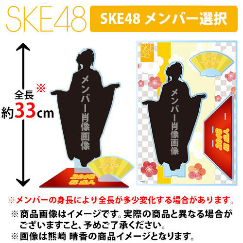 SK-147-1712-37695_p01_500
