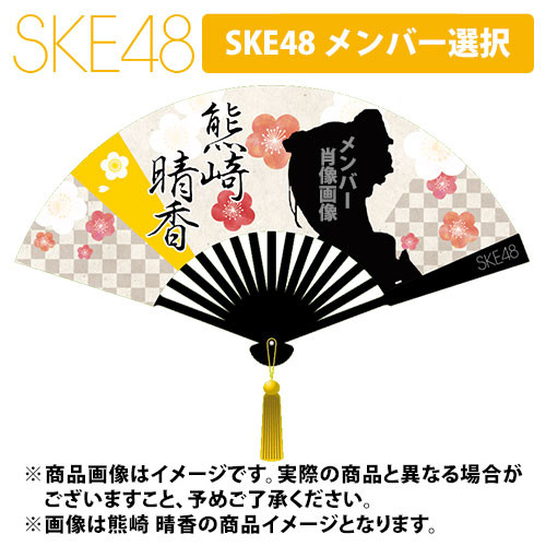 SK-138-1712-37691_p01_500