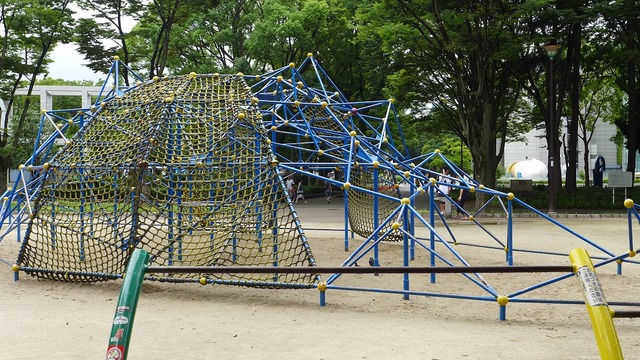 P1180533