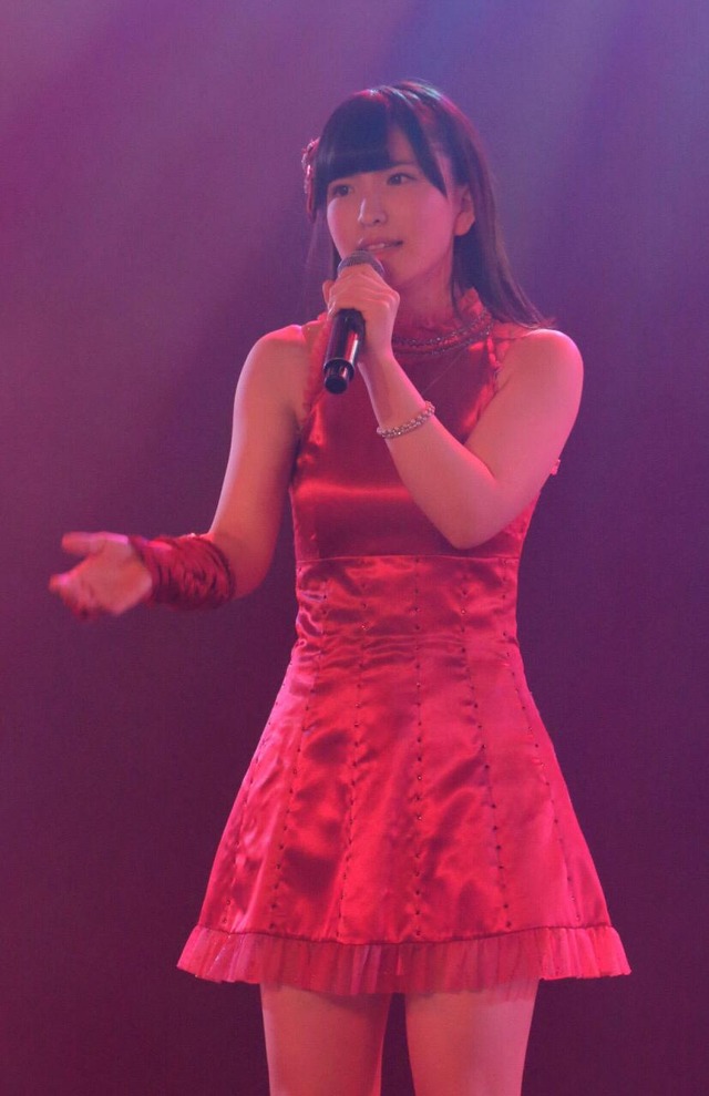 o08281280p