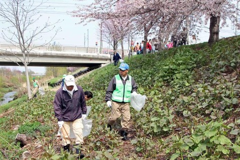 kita-shinkawasakuracl02