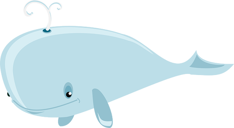 whale-36828_640