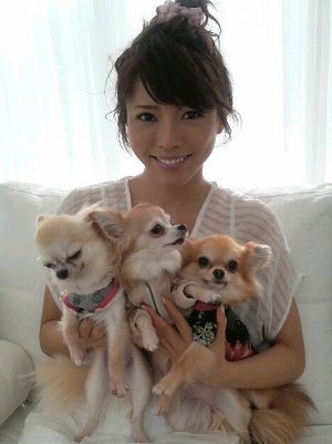釈由美子