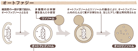 01-02
