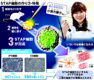 AS20140212003403_commL