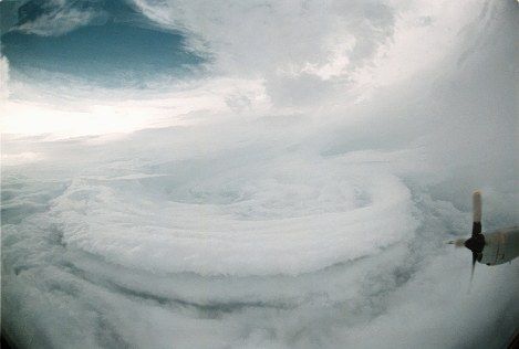200508-29-89-b0013789_21463459