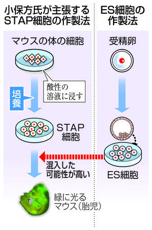 20141226stap