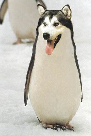 wWsLwJ9