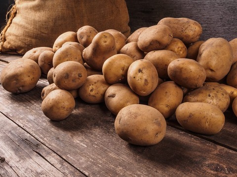 shutterstock_347630291