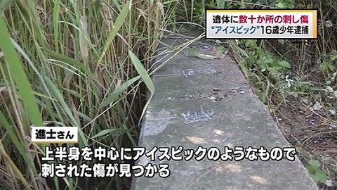 news2815584_38
