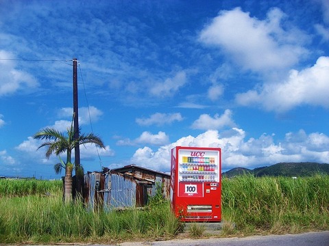 ishigaki-island-1276561_640