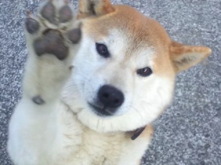 a4a13a0fb3ec7eaf8eac6b6b9a2eb29d_t