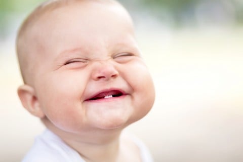 shutterstock_115992457-480x320