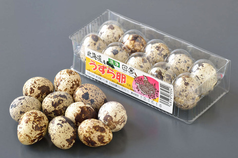 quail_egg