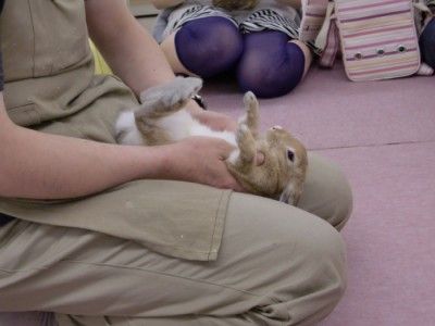 blog161