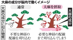 AS20160630001391_commL