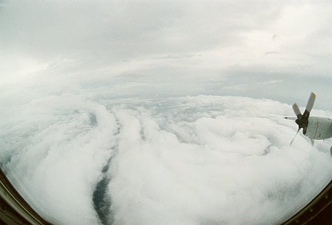 typhoon