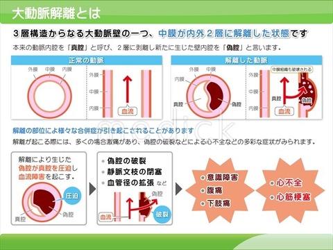 6a79302f4c4d392d555f31c3d227ebd8