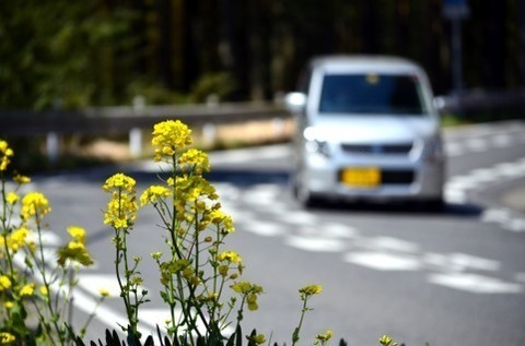 drive-thumbnail2