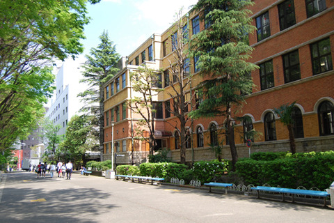 4-shinryoku
