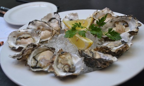 oysters-3625395_640
