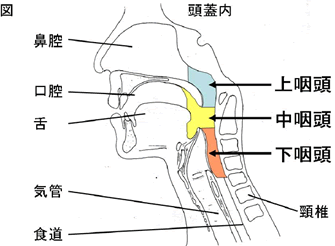 index08_img1