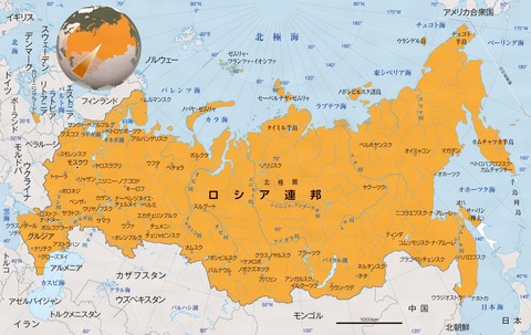 81306024012642