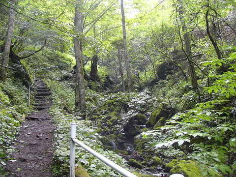 tozandou_2005