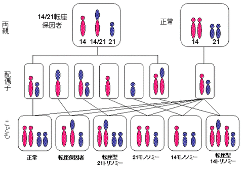 rika_no19_fig25