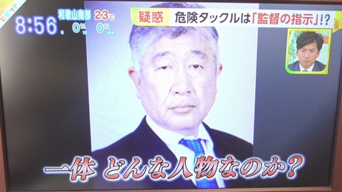 bibit-utida-nitidai00-20180515-rs