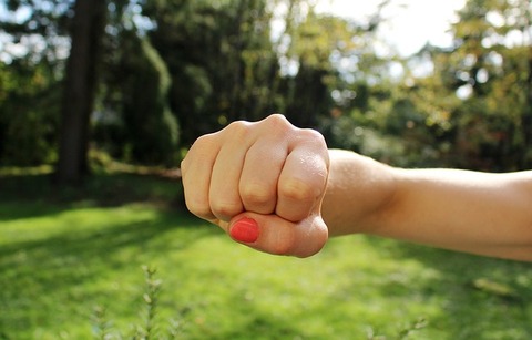 fist-bump-1195446_640