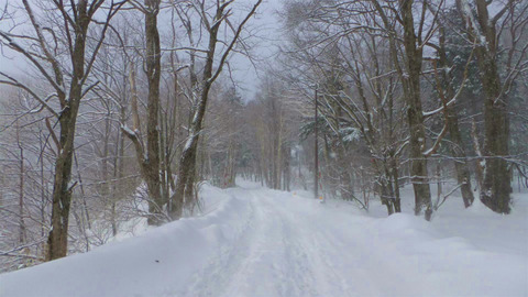 s014_large_2