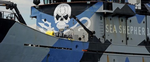 n-SEA-SHEPHERD-JAPAN-large570