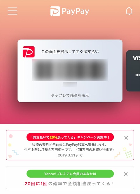 paypay2