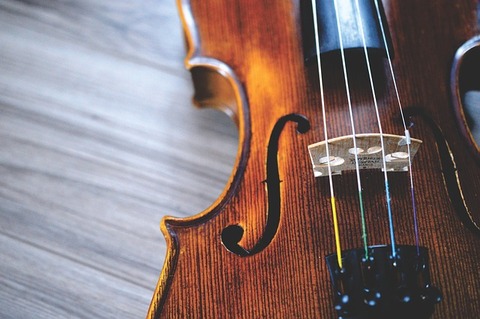 violin-2560312_640