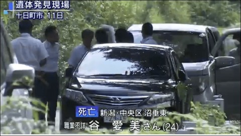 林-1
