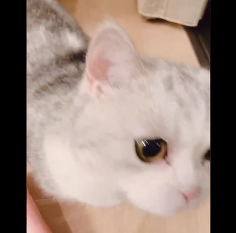 20190306tv001