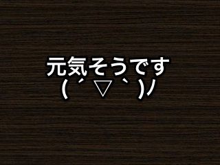 20150113harupi001