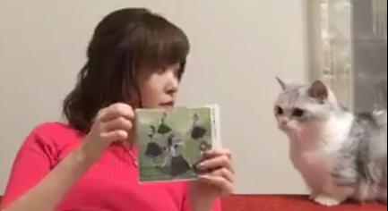 sashihara170602g