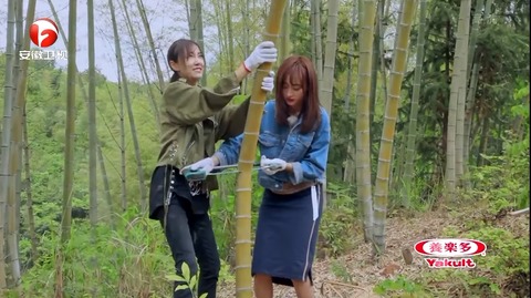 蜜食記3千島湖ep2n